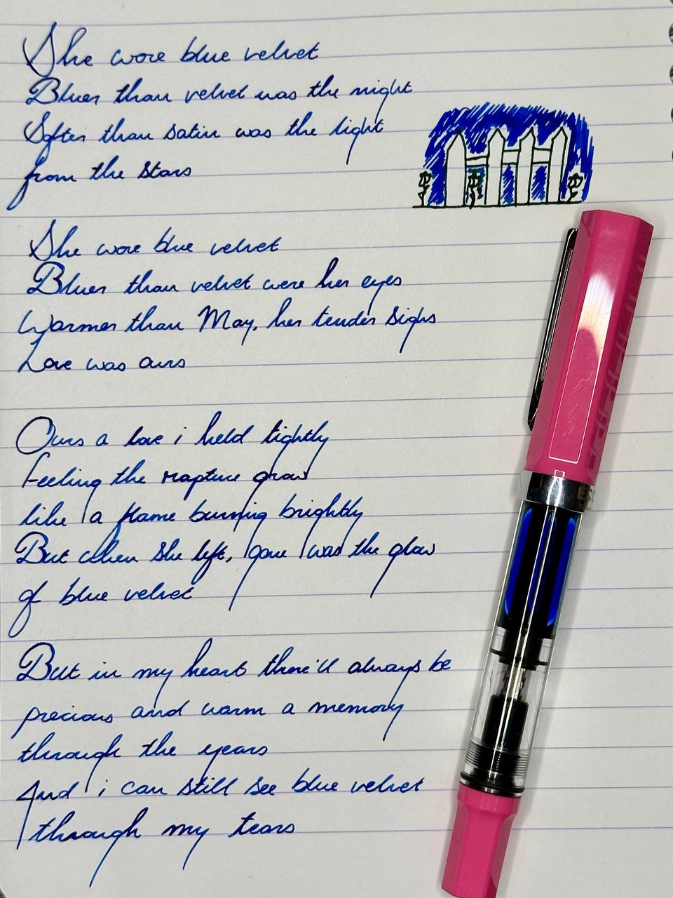 Blue Velvet TWSBI Eco
